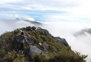 Cerro Chirripó